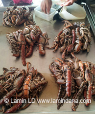 3D2N Lamin Dana Culinary Package