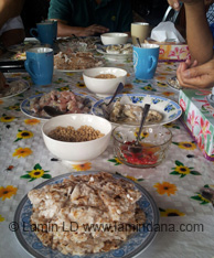 Backpackers & Budget Traveller